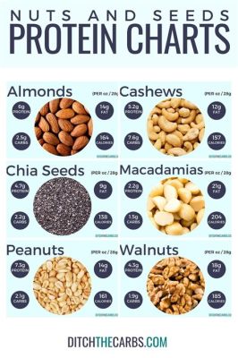 Which Nuts Are Highest in Protein and What Makes Them Unique